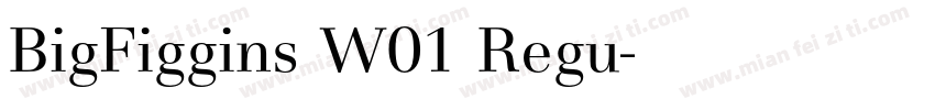BigFiggins W01 Regu字体转换